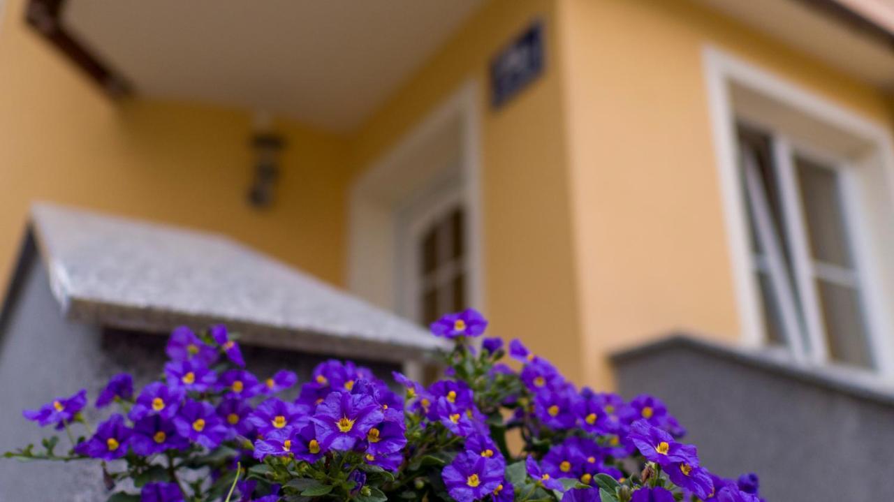 Ferienwohnung Claudia Salzburg Kültér fotó